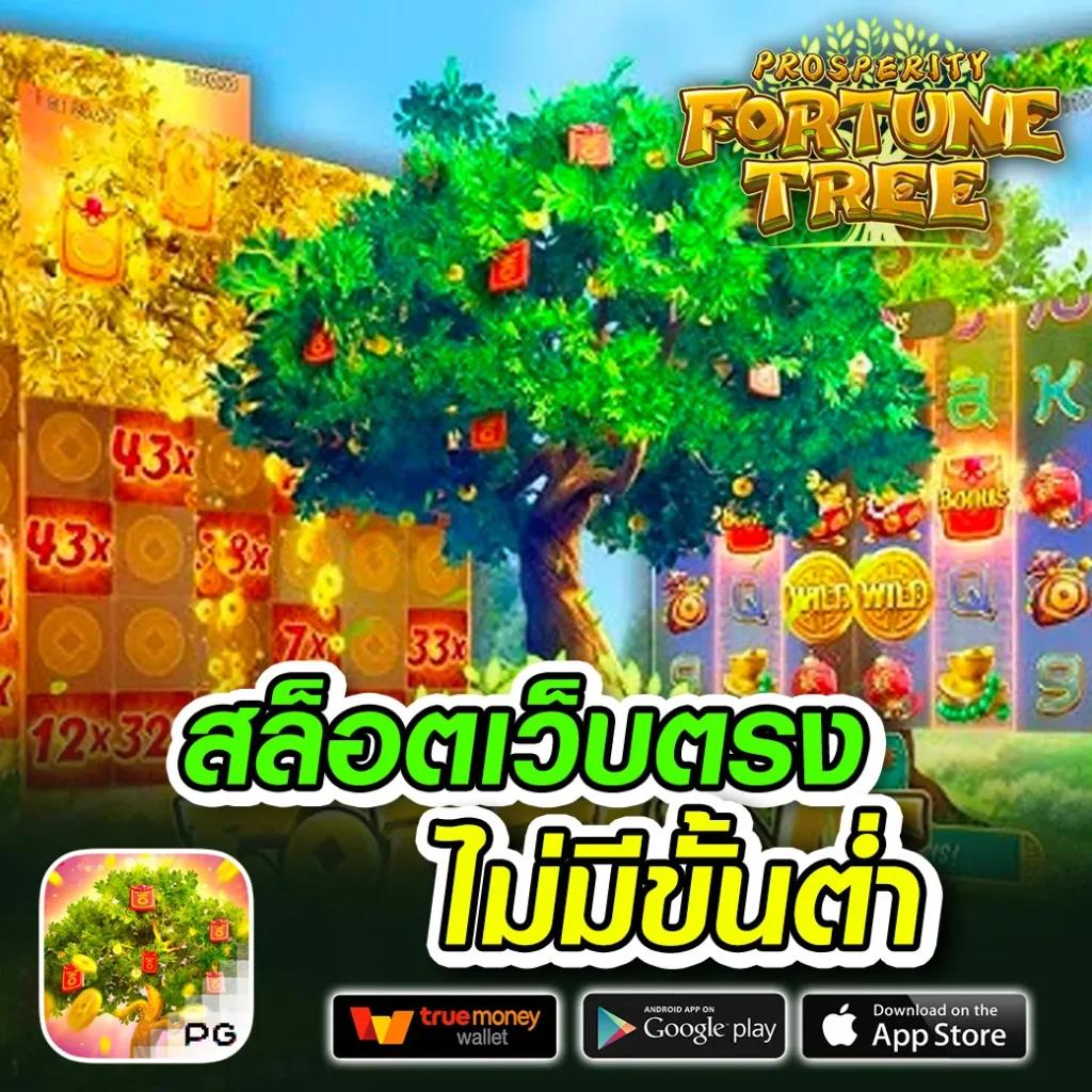 ซุปเปอร์โบนัส888 คาสิโนยอดนิยม ช่วงเวลาแห่งความสนุกและความคุ้ม