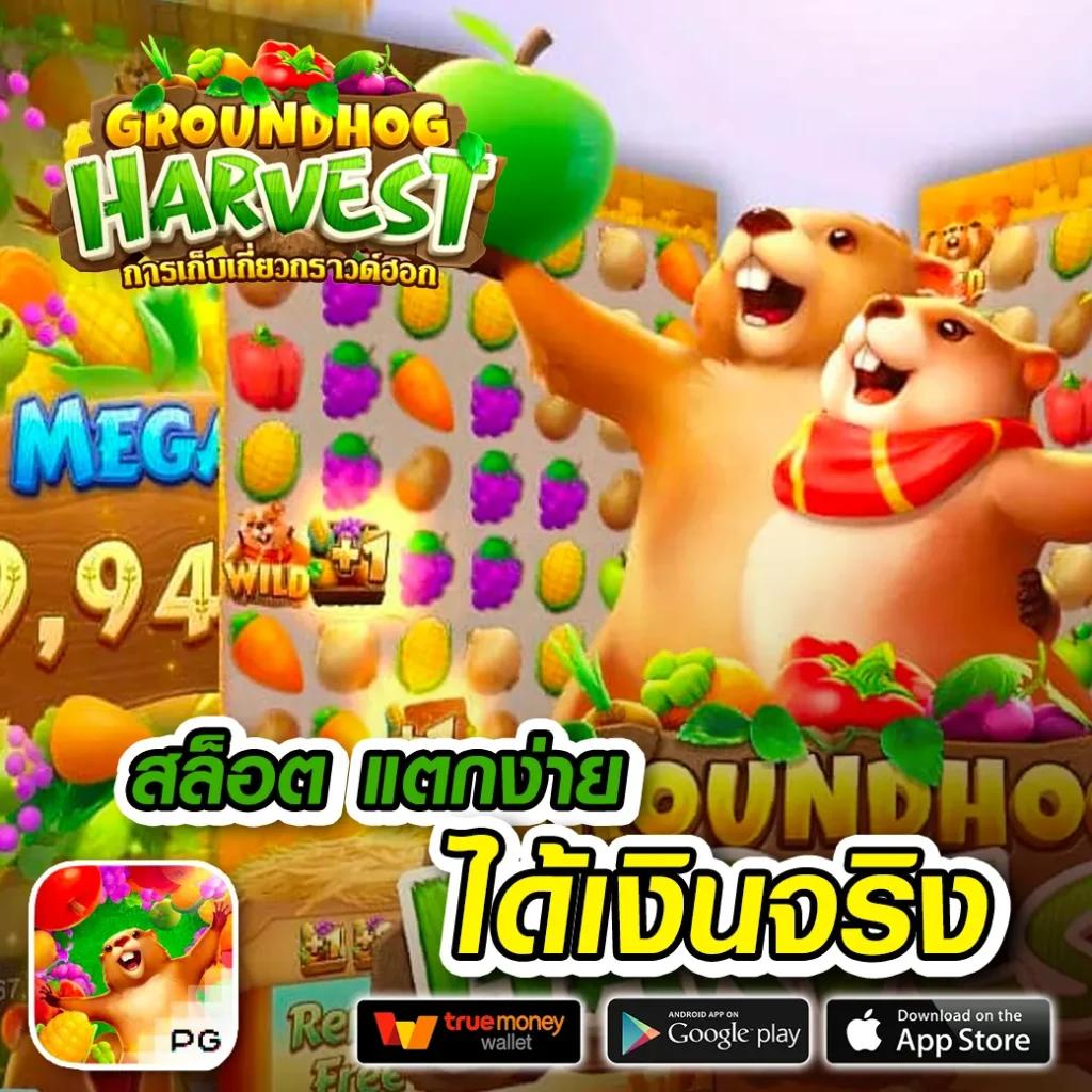 ยืนยัน OTP รับเครดิตฟรีล่าสุด พร้อมโปรโมชั่นสุดพิเศษที่นี่