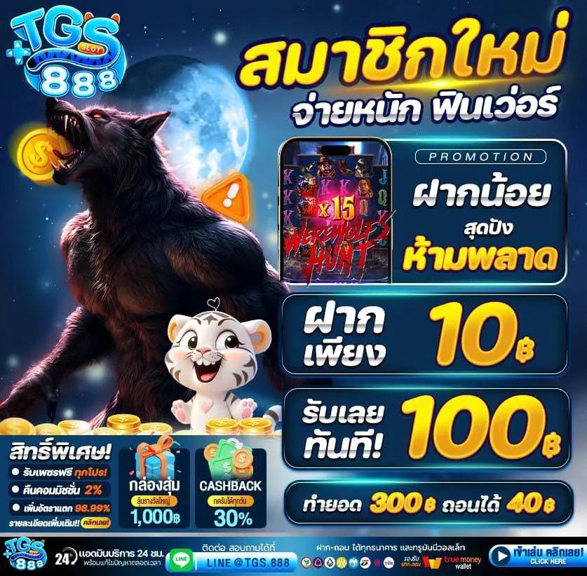 เล่นคาสิโนออนไลน์กับ Code All Star ระบบอัปเดตล่าสุด เล่นง่าย จ่ายจริง